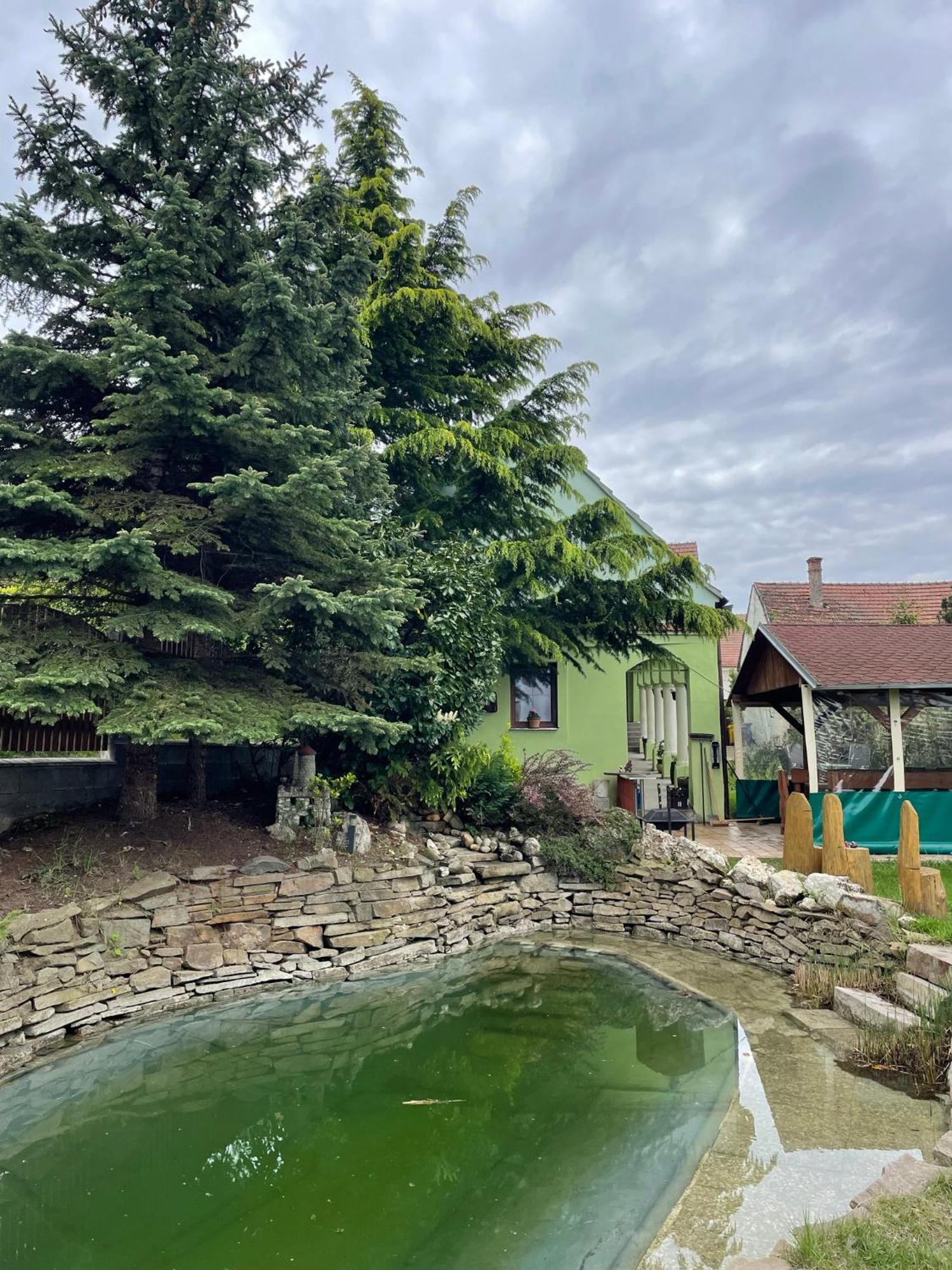 Na Upati Palavy Hotel Хорни Виестонице Екстериор снимка