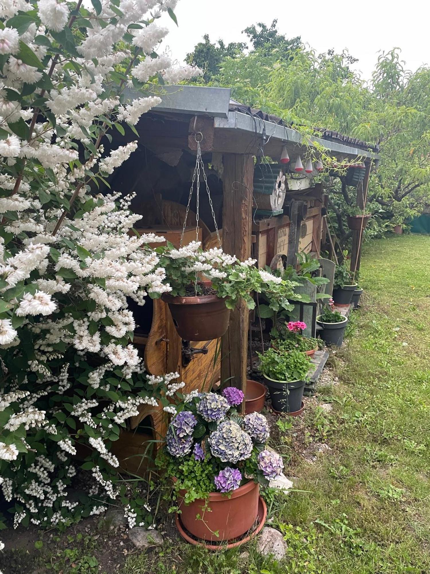 Na Upati Palavy Hotel Хорни Виестонице Екстериор снимка